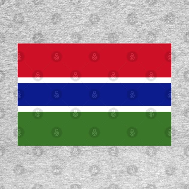 Gambia Flag by Historia